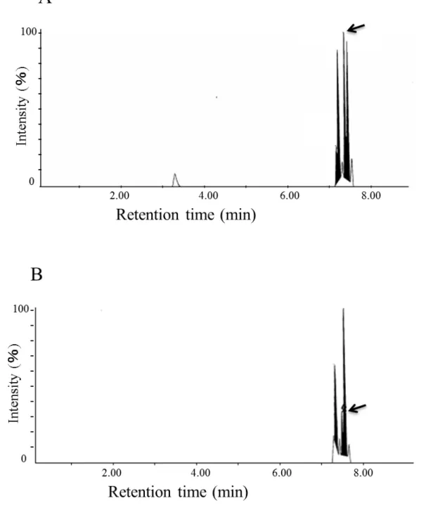 Fig. 2-2 LC/MS chromatogram for EPN in infant plasma. 