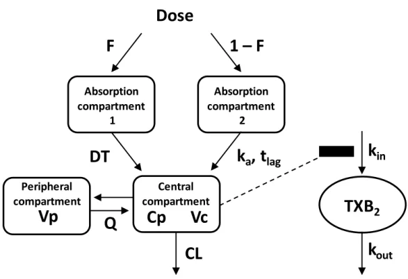 Fig. 1-3 Pharmacokinetic/pharmacodynamic model for meloxicam.   
