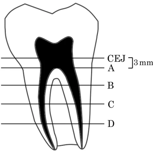 Fig. 1 観察断面