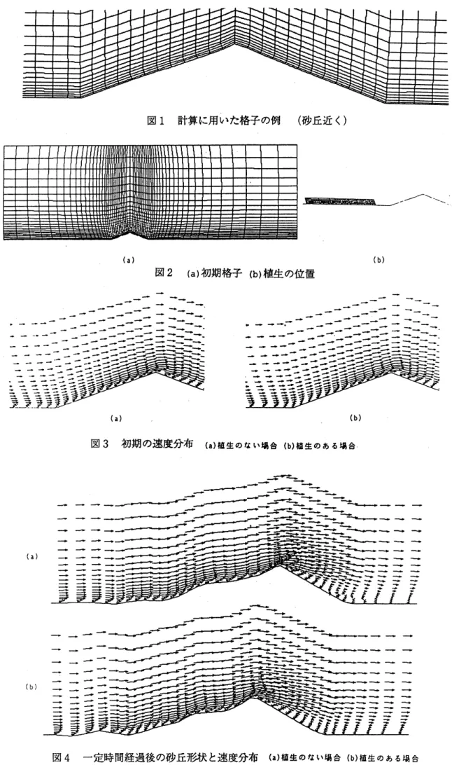 図 1 計算に用いた格子の例 (砂丘近く) (a) (b) 図 2 (a) 初期格子 (b) 植生の位置 (a) $\{\mathrm{b})$ 図 3 初期の速度分布 (a) 植生のない場合 (b) 植生のある場合 図 4 一定時間経過後の砂丘形状と速度分布 (a) 植生のない場合 (b 》植生のある場合