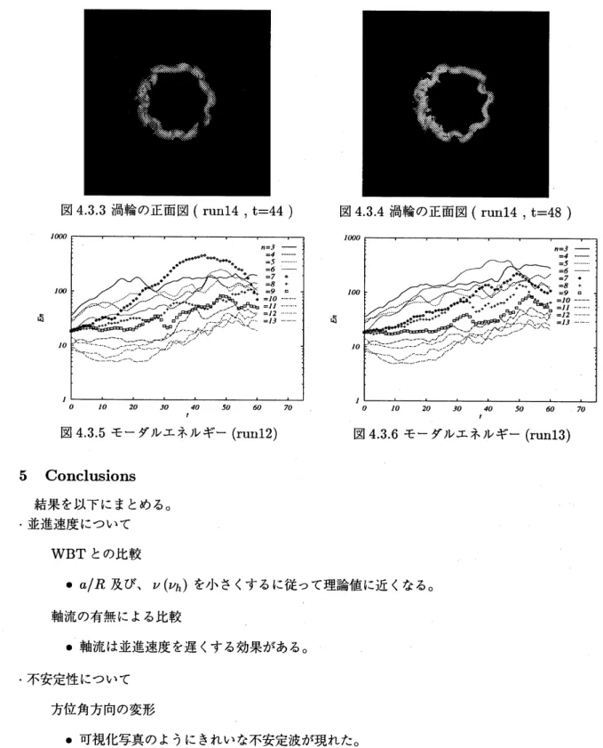図 433 渦輪の正面図 (run14, $\mathrm{t}=44$ ) 図 434 渦輪の正面図 (run14, $\mathrm{t}=48$ )