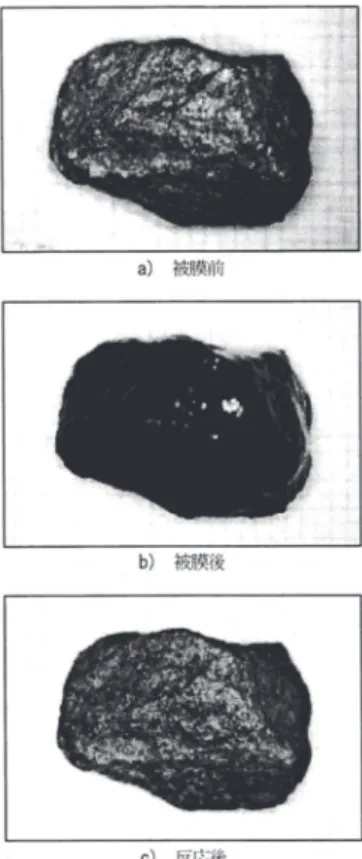 図 - 2 . 4 2   供 試 体 の 表 面 の 変 化 （ 細 骨 材 + 石 粉 ） 6 6 )