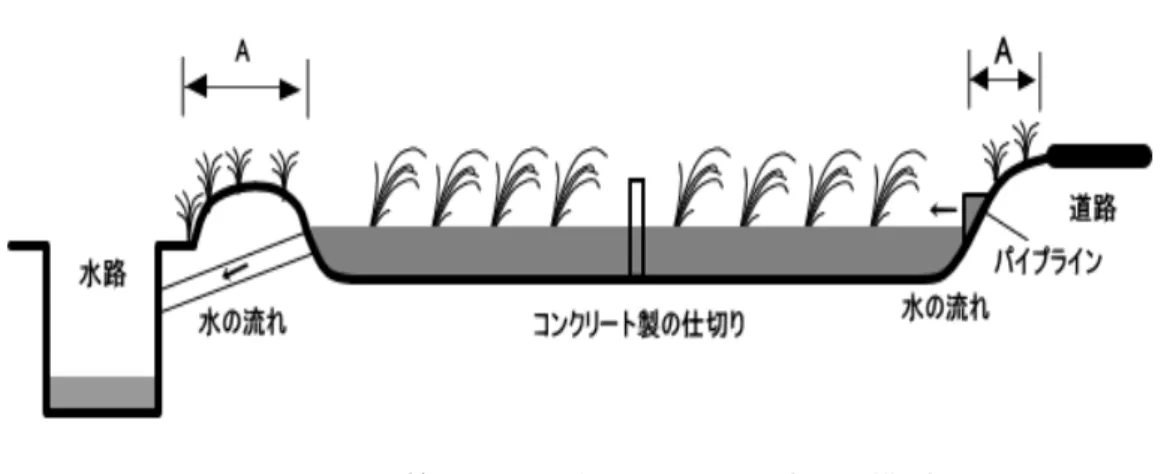 図 - 3 . 1 . 2   木 曽 川 河 口 部 の 水 田 形 態 の 模 式 図