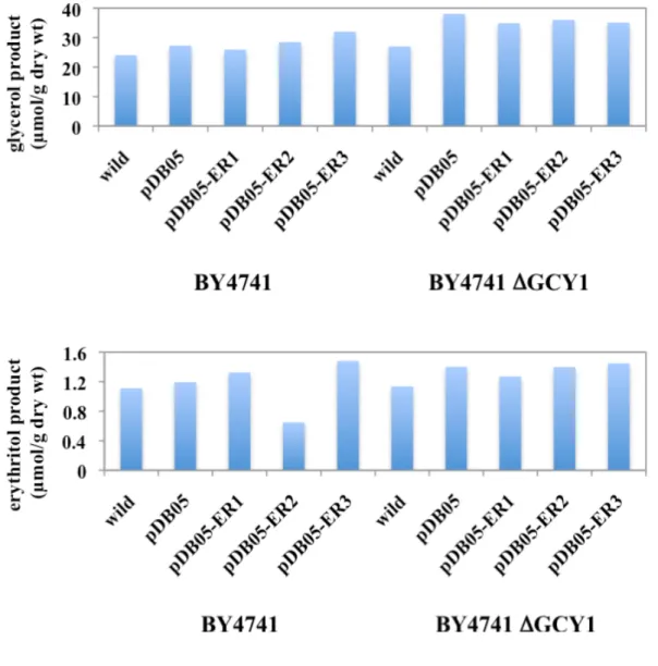 Fig. 9  Polyol production by S. cerevisiae BY4741 and transgenic strains. 