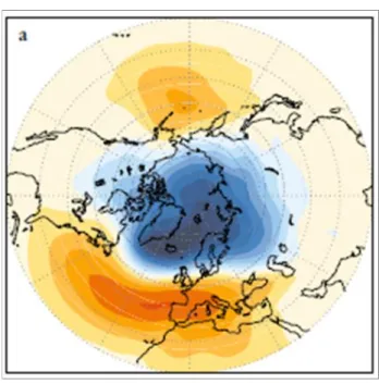 図 1: AO に伴う SLP 偏差の地理分布図 (Wallace and Thompson 2002 より引用).