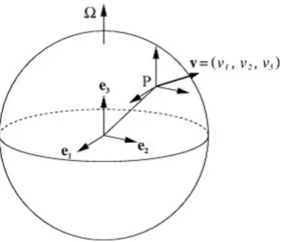 図 4.1: 速度ベクトル v の 3 成分と直交基底 {e 1 , e 2 , e 3 }．Satoh et al. (2008) より．
