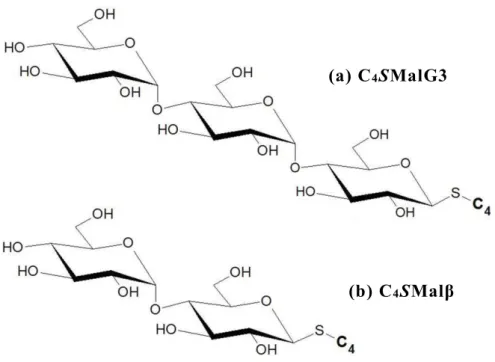 Fig. 4-25  酵 素 反 応 に よ り 主 に 産 出 さ れ る APGs  (a) C 4 SMalG3: n-butyl 1-thio-β- D -maltotrioside,    (b) C 4 SMalβ: n-butyl 1-thio-β- D -maltoside 