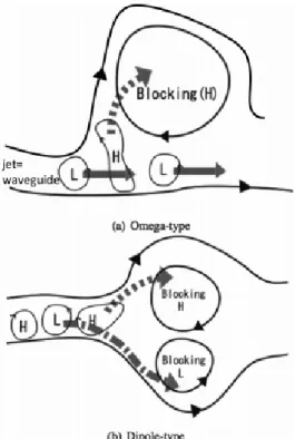 図 2: ブロッキングの構造  (a)Ω 型 ,(b) 南北分流型