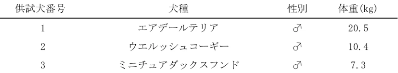 表 2-1. 供試犬のプロフィール
