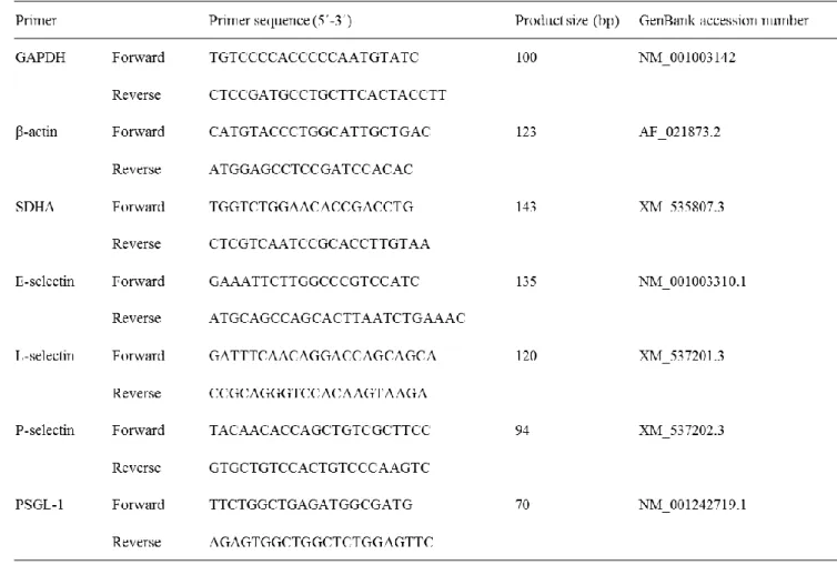 表 4-1  定量的リアルタイム RT-PCR におけるプライマーの配列 