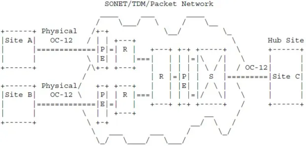 図 13：SONET 相互接続エミュレーション例の図 