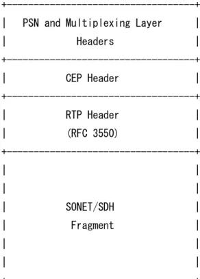 図 1：基本的な CEP パケット 