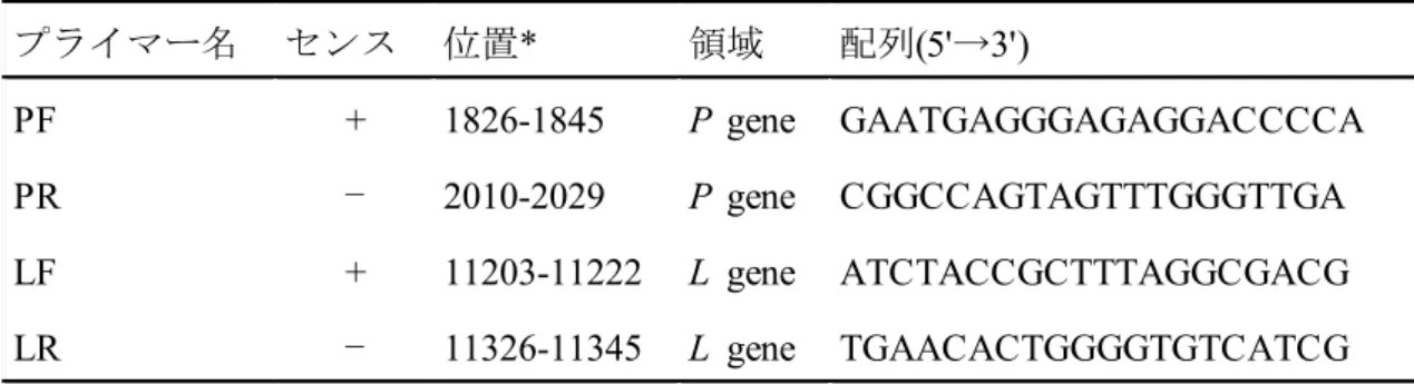 表 2-2 PCR および RT-PCR に用いたプライマー プライマー名 センス 位置 * 領域 配列 (5' → 3') PF + 1826-1845 P  gene GAATGAGGGAGAGGACCCCA PR − 2010-2029 P  gene CGGCCAGTAGTTTGGGTTGA LF + 11203-11222 L  gene ATCTACCGCTTTAGGCGACG LR − 11326-11345 L  gene TGAACACTGGGGTGTCATCG