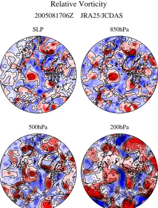 図 16 事例 2 : 2005 年 8 月 17 日 06Z の各高度における相対渦度 ( 左上 : SLP, 右上 : 850 hPa, 左下 : 500 hPa, 右下 : 200 hPa)