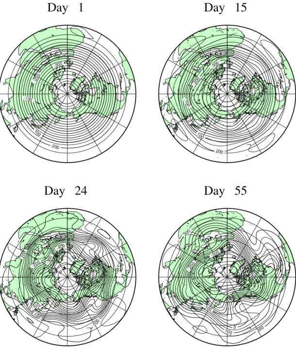 図 13: 順圧高度場での波数 4 のロスビー波とその砕波