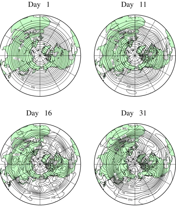 図 18: 順圧高度場での波数 8 のロスビー波とその砕波