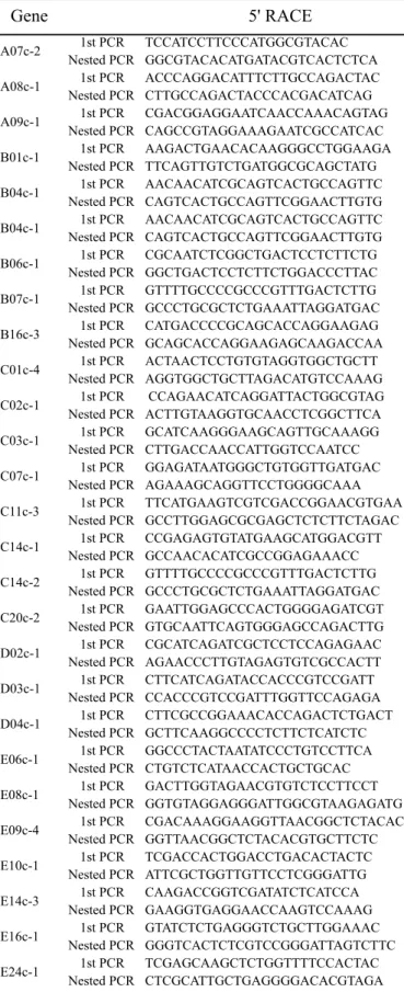 Table 3. Primers used for RACE PCR