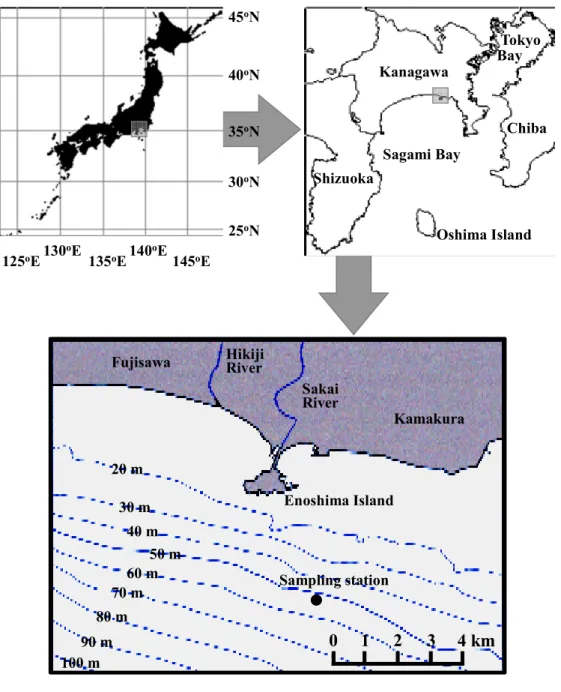 Figure 1     Map showing the sampling station in Sagami Bay. 