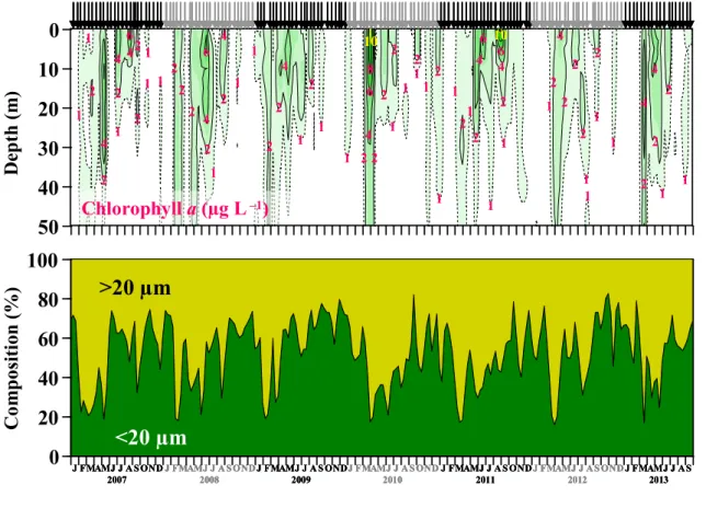 Figure 6     Seasonal variations in vertical profile of chlorophyll a concentration (upper) and  mean  size  composition  (Chl-a  <20  µm  and  >20  µm)  (lower)  in  Sagami  Bay,  from  January  2007 to September 2013
