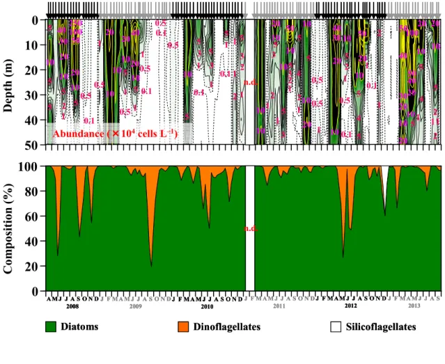 Figure  7    Seasonal  variations  in  vertical  profile  of  abundance  of  the  total  microphytoplankton  (>20  µm)  (upper)  and  mean  composition  at  0–50  m  depth  (lower)  in  Sagami Bay, from April 2008 to September 2013