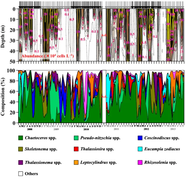 Figure 8     Seasonal variations in vertical profile of abundance of the total diatoms (>20 µm)  (upper)  and  mean  species  composition  at  0–50  m  depth  (lower)  in  Sagami  Bay,  from  April  2008 to September 2013
