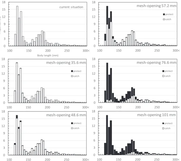 Fig. 8   Estimated body length compositions of Doederleinia berycoides for five cod-end mesh sizes derived  from selection curves (Figs