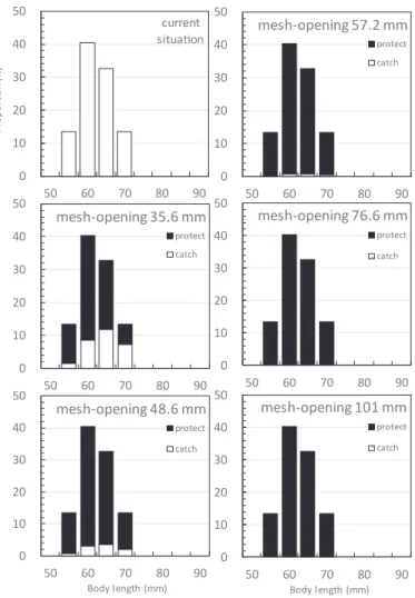 Fig. 9   Estimated Doederleinia berycoides body length  composition using five mesh sizes (as for Fig