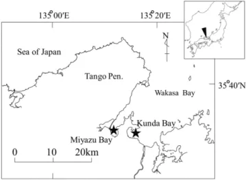 Fig. 1 Sampling sites in Miyazu and Kunda Bay.トリガイは宮津湾などの内湾域で養殖されており，大型のものは京のブランド産品｢丹後とり貝｣として市場から高い評価を得ている。その生産額は増加傾向にあり，2012年には1億円を超えるまでとなり，京都府の重要な養殖対象種である。トリガイは，他の二枚貝類と同様，海域に生息するプランクトンを餌にして育つため，給餌の必要がなく，環境に優しい養殖種であると言える。一方で，二枚貝類は，摂取したプランクトンが産生する毒を体内に蓄積する