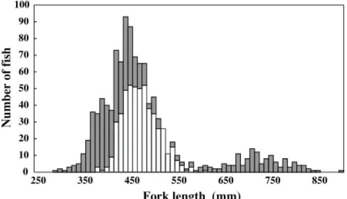 Fig. 3 Average quantity of catches of S. niphonius from Aomori to Nagasaki Prefectures in 2009 to 2011