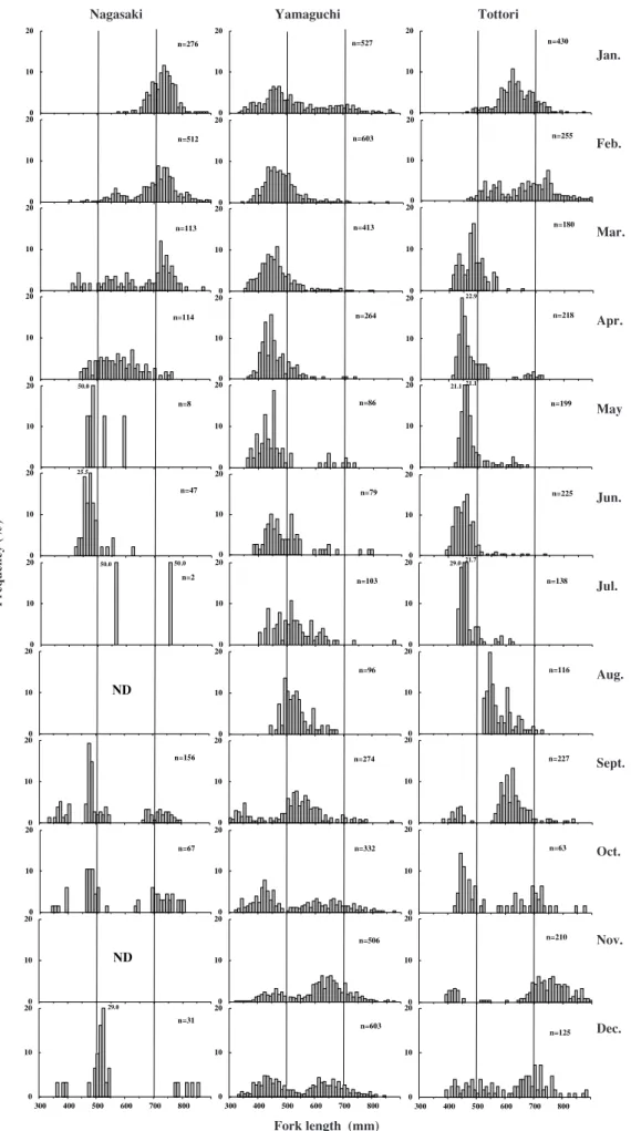 Fig. 5 Monthly changes in the fork length frequency of S. niphonius in 2010. Jan. Feb