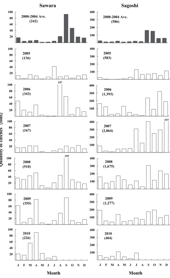 Fig. 1　Monthly changes in the quantity of catches of S. niphonius classified into size categories  in Kyoto Prefecture from 2000 to July 2010.