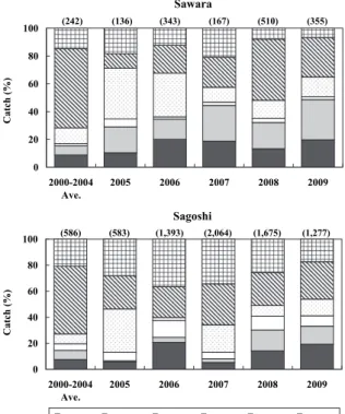 Fig. 2　Changes in the percent frequency of catches  of S. niphonius classified into size categories in  Kyoto Prefecture from 2000 to 2009.