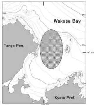 Fig. 1 Sampling area in western Wakasa Bay.