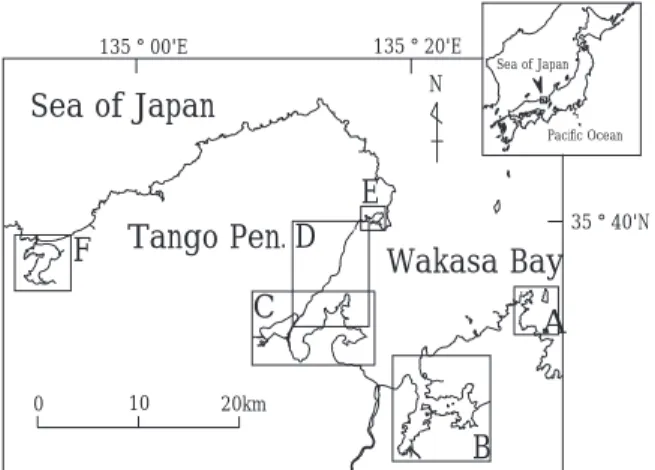 Fig. 1 Map showing the coastal area of Kyoto Prefecture. Squares in the map (A to F) indicate the areas in which  Zostera beds were investigated
