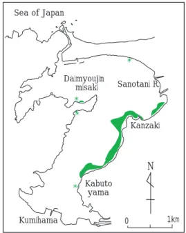 Fig. 8 Changes in annual mean transparency (m) at Narasaki in Maizuru Bay (A) and Kumihama Bay (B) from 1977 to 2003