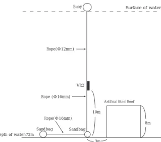 Fig. 3 Changes in water temperature at the survey area (50 m depth).