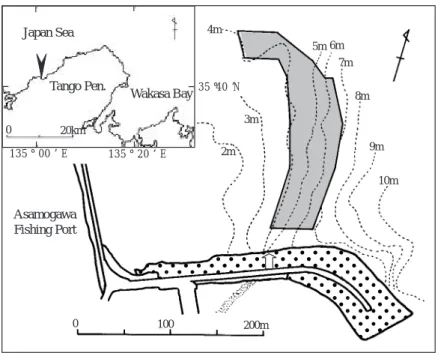 Fig. 1 A map showing the study site. Large boulders were installed in the shaded area in February 2002
