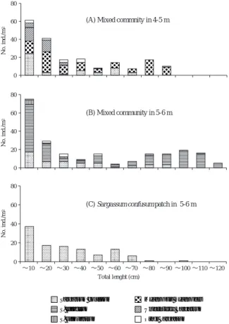 Fig. 4 Histograms show the number of individuals per m 2 in each range of total length