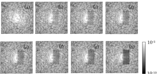 図 3-8: SAN 法での制御後の画像  (a)初期のスペックル画像  (b)1 回制御後の画像  (c)2 回制御 後の画像  (d)3 回制御後の画像  (e)4 回制御後の画像  (f)5 回制御後の画像  (g)10 回制御後の 画像  (h)50 回制御後の画像  図 3-9: SAN 法と SN 法の比較のグラフ。 SN では、制御するスペックル同士の間隔を 3.0[λ/D] 離して制御した。  -7-6-5-4 0 10 20 30 40 50
