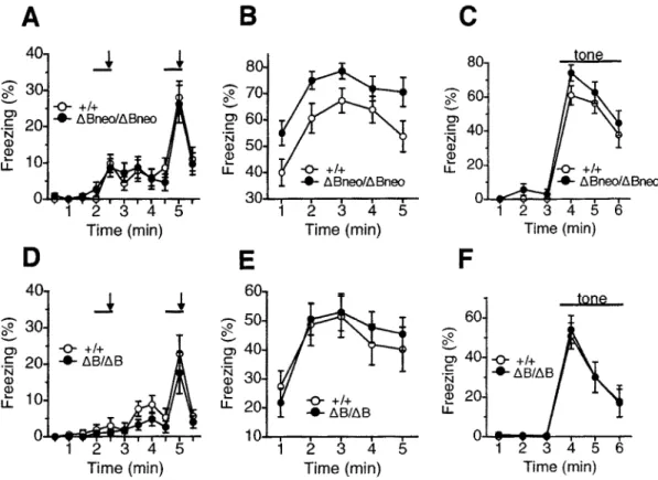 Figure  5.  Contextual  and  cued-fear  conditioning  in  Pcdh-aABneo/ABneo  mice  (A,  B,  C)  and  Pcdh-aABIAB mice  (D,  E,  F)  against  wild-type  mice  (+/+)