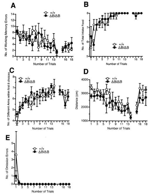 Figure 8.  Eight-arm  radial  maze  test  of  wild-type(+/+)  and  Pcdh-a" 81 ,rn mice