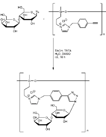 Fig.  2-7  The  CuAAC  reaction  of  PIm1  with  azide-functionalized  lactose  molecules