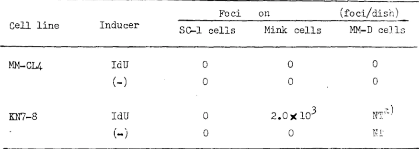 Table III.  I四ectious Center Assay of IdU — treated  MM-CL4 