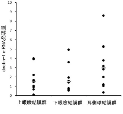 図 8 ：健常者結膜上皮での dectin-1 mRNA 発現量の部位別比較