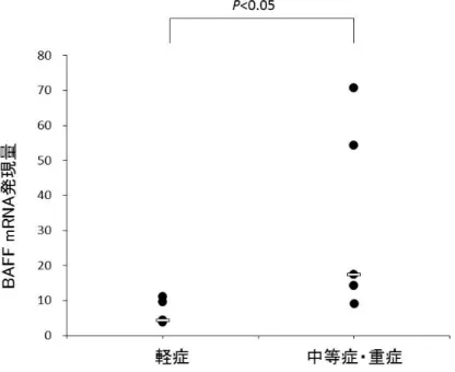 図 13 ：春季カタル症例の重症度別 BAFF mRNA 発現量の比較