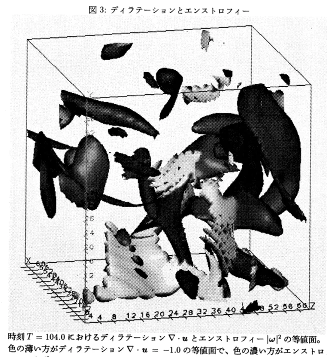 図 3: ディラテーションとエンストロフィ $-$
