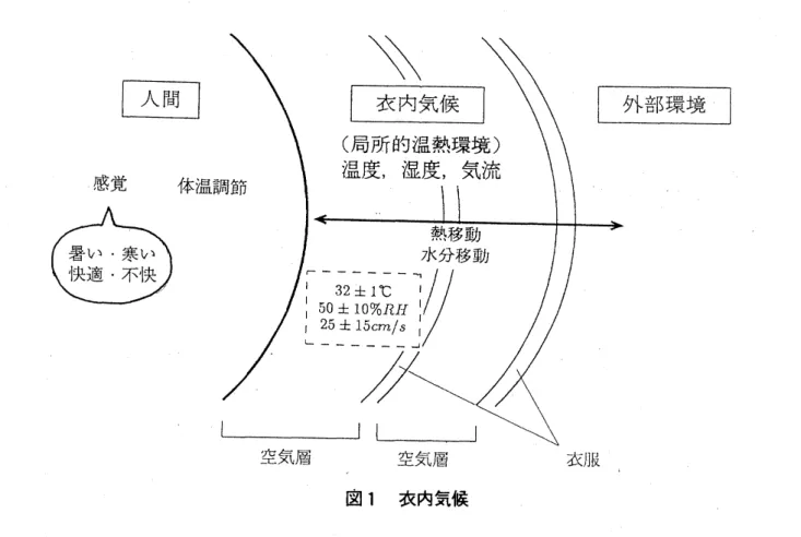 図 1 衣内気候 また、 衣内気候を熱移動、水分移動といった物理現象としてとらえてモデル化したもの を図 2 に示す。 ここでは、皮膚表面が外部環境より高温である場合を想定している。皮膚か ら放散される熱は空気および衣服素材の熱伝導により衣服表面へ運ばれ、 あるいは、 
