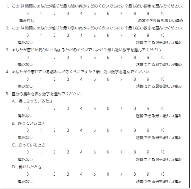 図 3  Brief Pain Inventory 質問票 