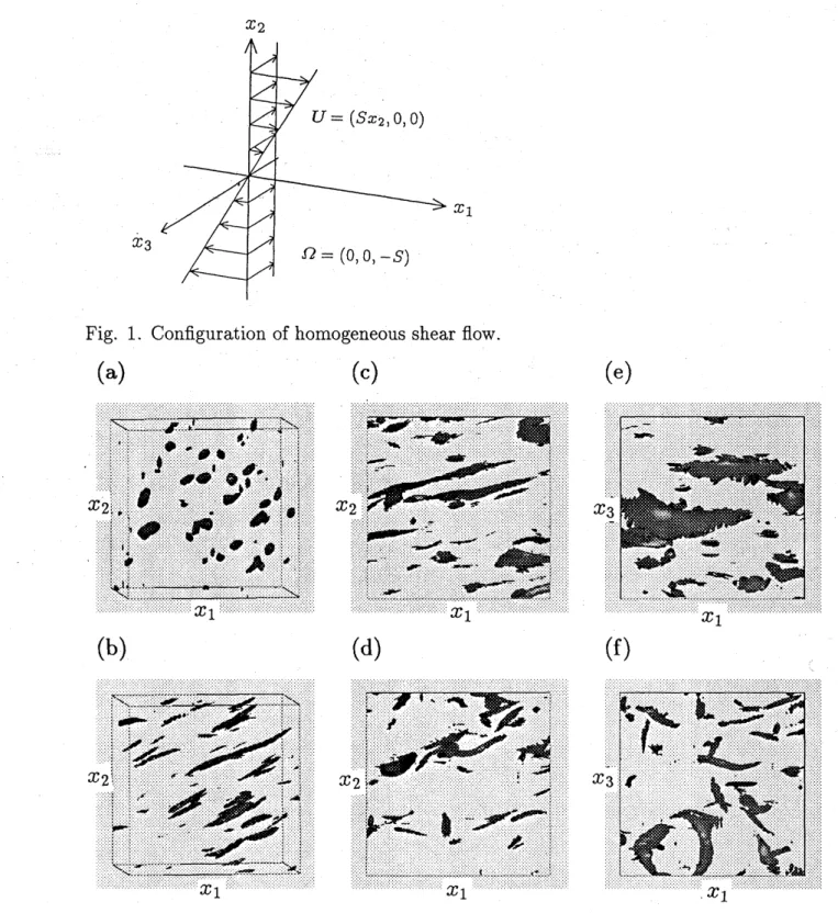 Fig. 1. Configuration of homogeneous shear flow.