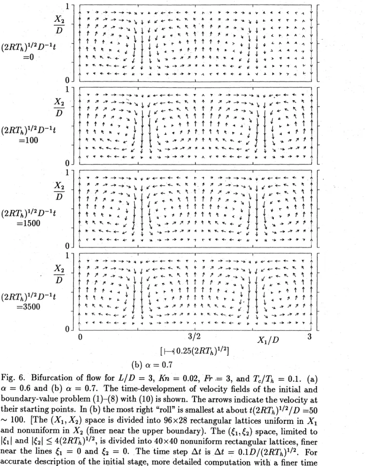 Fig. 6. Bifurcation of flow for $L/D=3,$ $Kn=0.02,$ $Fr=3$ , and $T_{c}/T_{h}=0.1$ . (a)